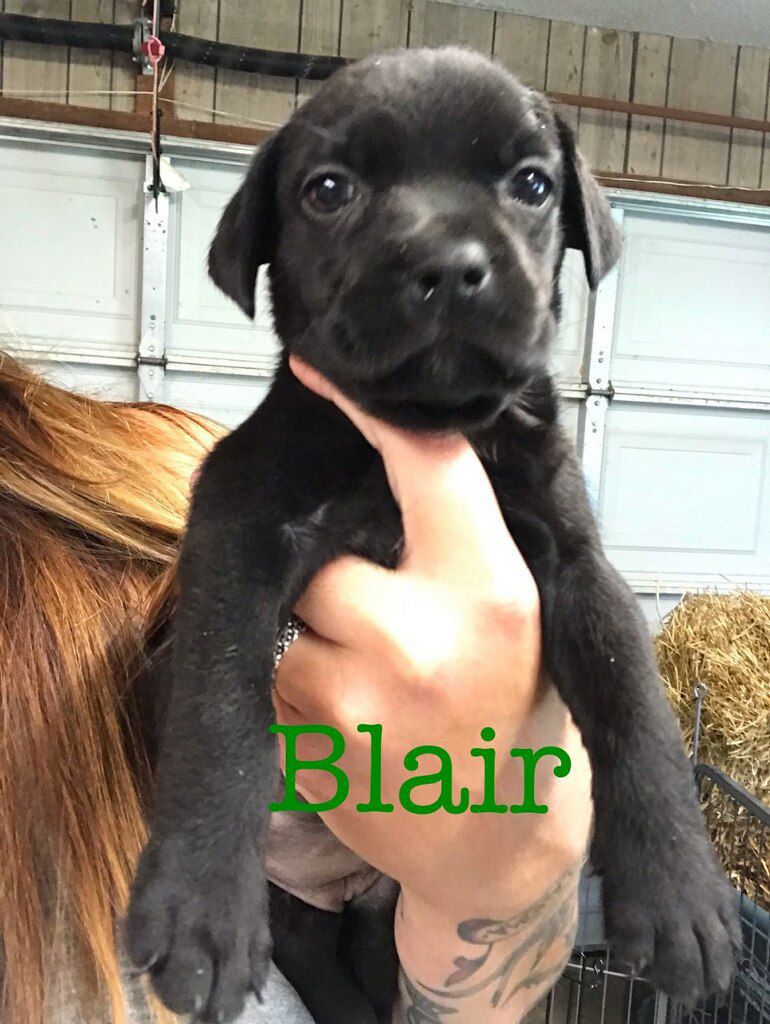 Blair